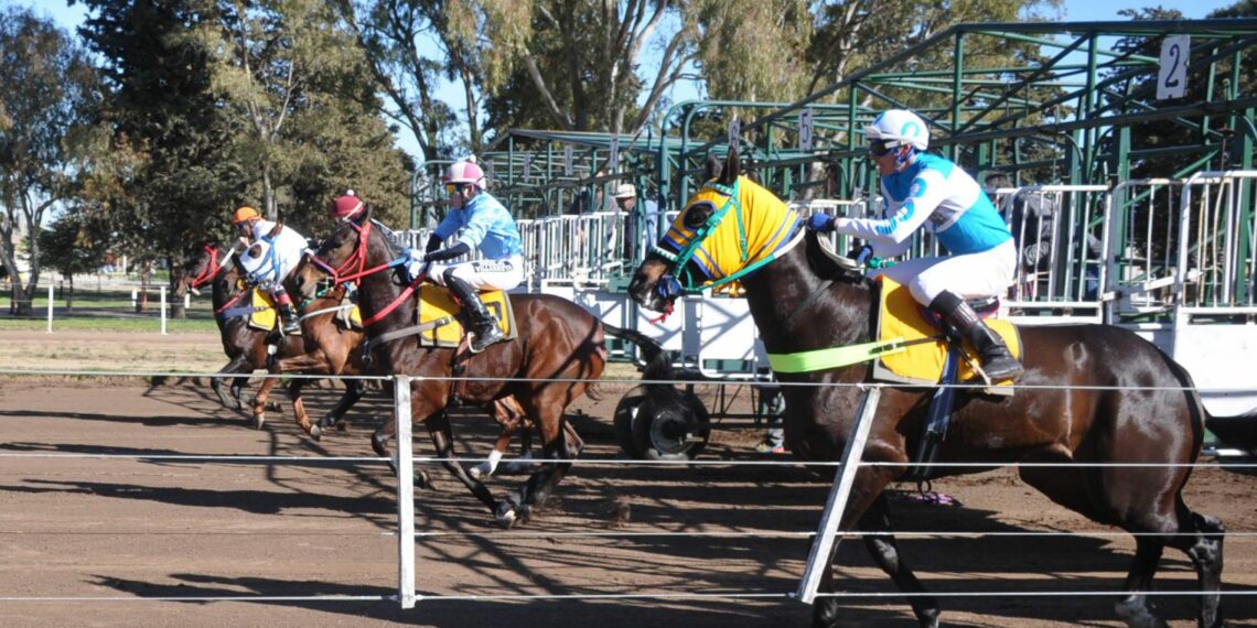 Rubén Braun realizó un balance de la jornada hípica (Video)