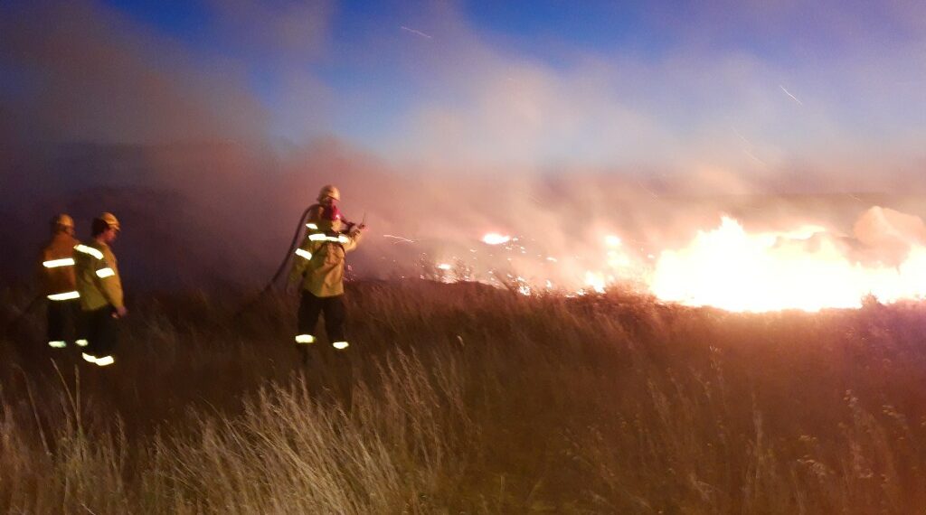 Incendio de pastos en terrenos del Basurero Municipal (fotos)