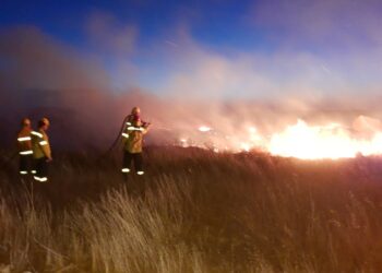  Incendio de pastos en terrenos del Basurero Municipal (fotos)