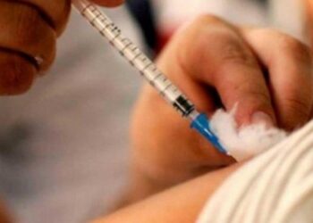 Vacunas antigripales: inmunizarán a Mayores de 65 años