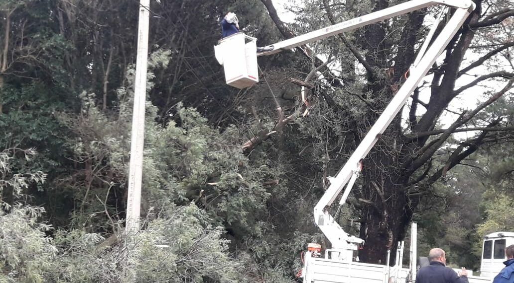 Arboles y ramas caídas en Villa Ventana a consecuencia de las ráfagas