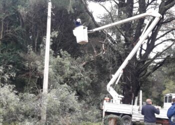 Arboles y ramas caídas en Villa Ventana a consecuencia de las ráfagas