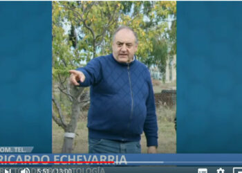 El Director de Bromatología descartó la existencia del virus del dengue en nuestro distrito