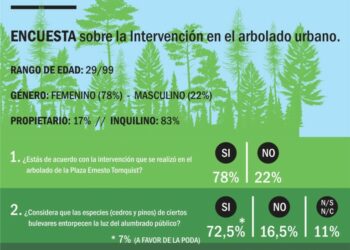 Se realizará una intervención sobre el arbolado urbano de los bulevares de Tornquist