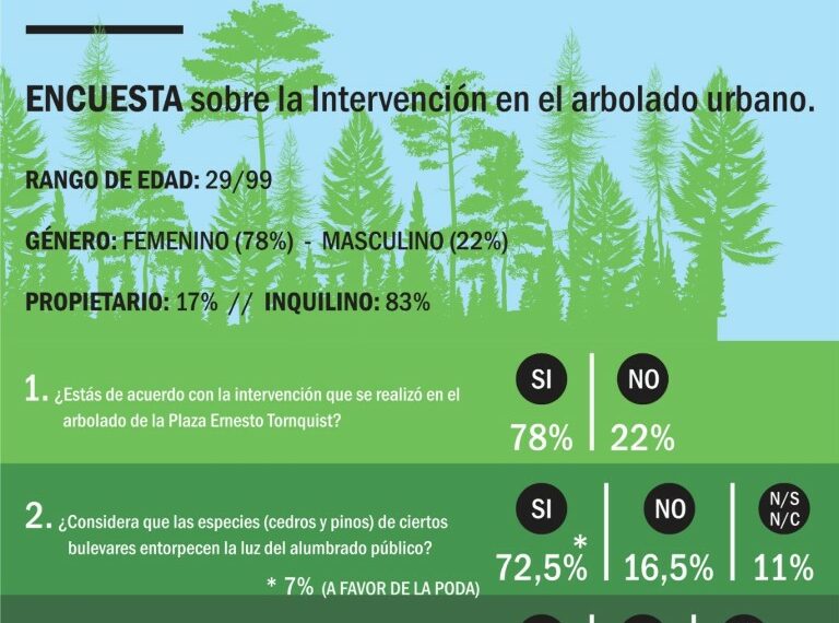Se realizará una intervención sobre el arbolado urbano de los bulevares de Tornquist