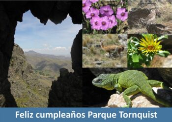 Hoy se cumplen 83 años de la creación del Parque Provincial Ernesto Tornquist