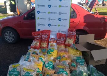 Se realizaron operativos de control de mercadería (fotos)