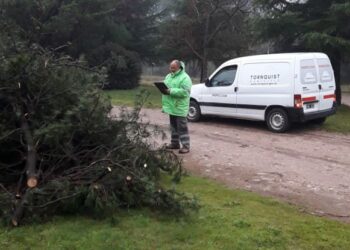 Solicitan no depositar ramas y restos de poda en las veredas de Villa Ventana