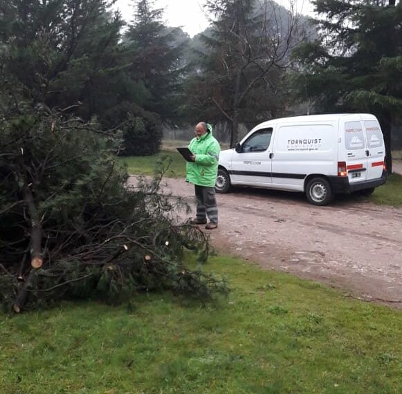 Solicitan no depositar ramas y restos de poda en las veredas de Villa Ventana