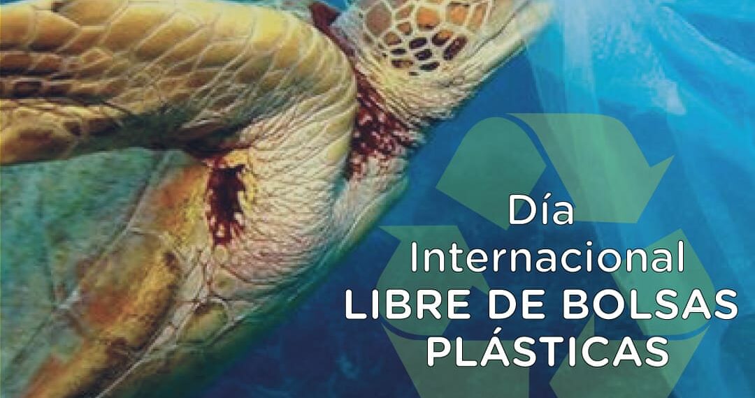 DÍA INTERNACIONAL LIBRE DE BOLSAS PLÁSTICAS