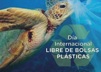 DÍA INTERNACIONAL LIBRE DE BOLSAS PLÁSTICAS