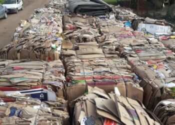 Taller Protegido: Entre todos cuidamos el medio ambiente !!!!