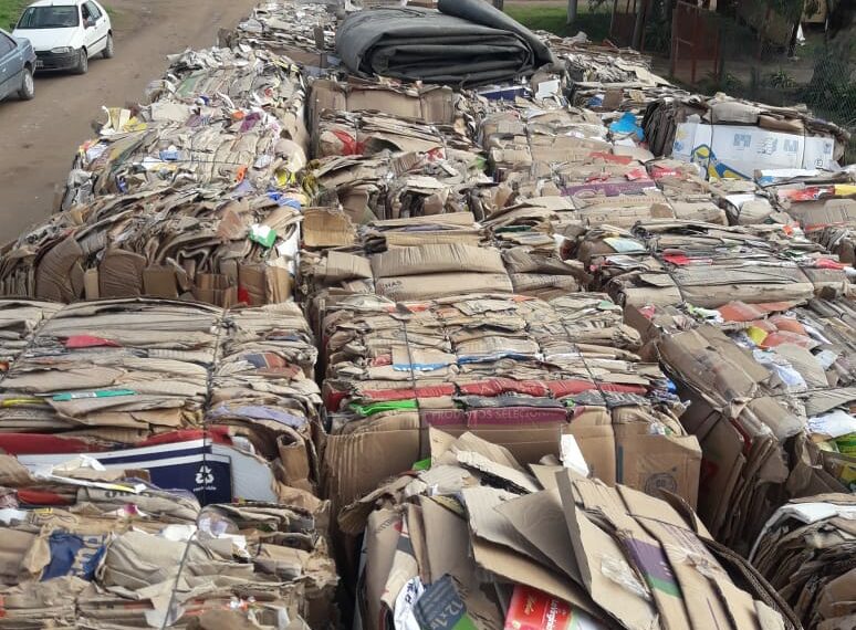 Taller Protegido: Entre todos cuidamos el medio ambiente !!!!