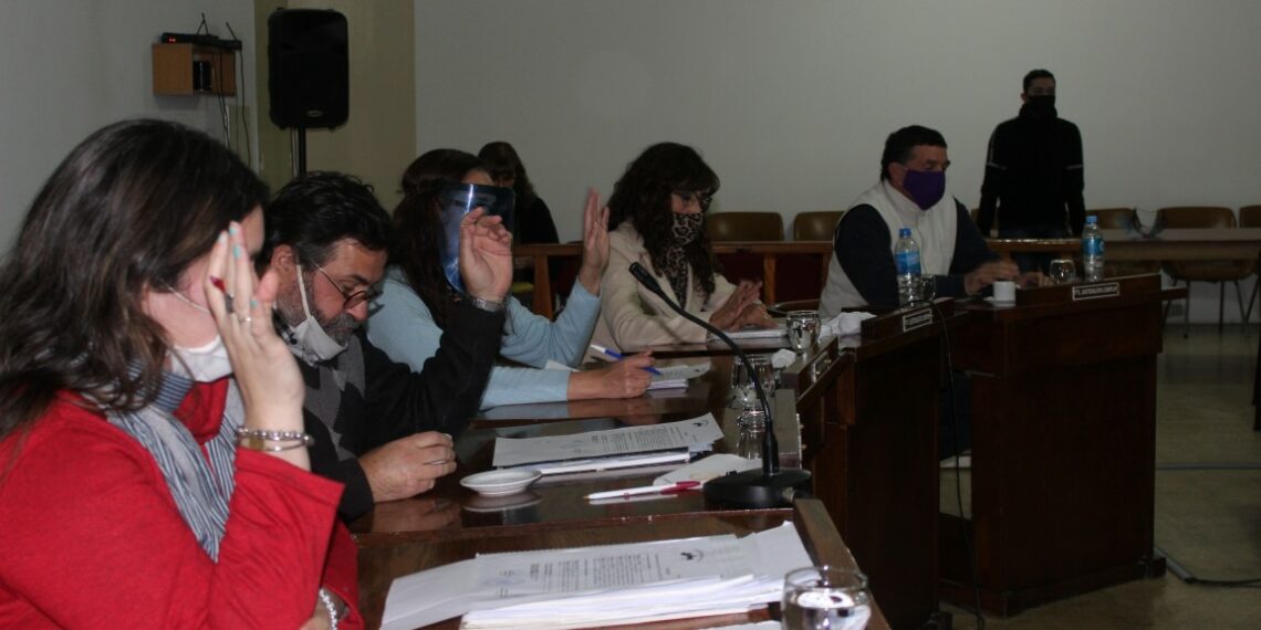 Proponen la creación de un voluntariado para acompañar y asistir a vecinos afectados por la pandemia