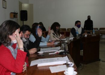 Proponen la creación de un voluntariado para acompañar y asistir a vecinos afectados por la pandemia