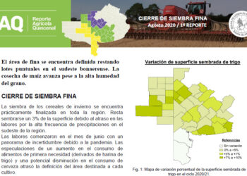 1º Reporte de Siembra fina