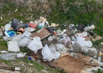 Vuelven a aparecer residuos en caminos vecinales