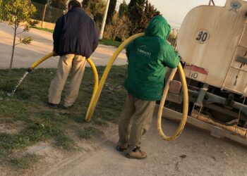 Continúan las tareas de forestación en Tornquist