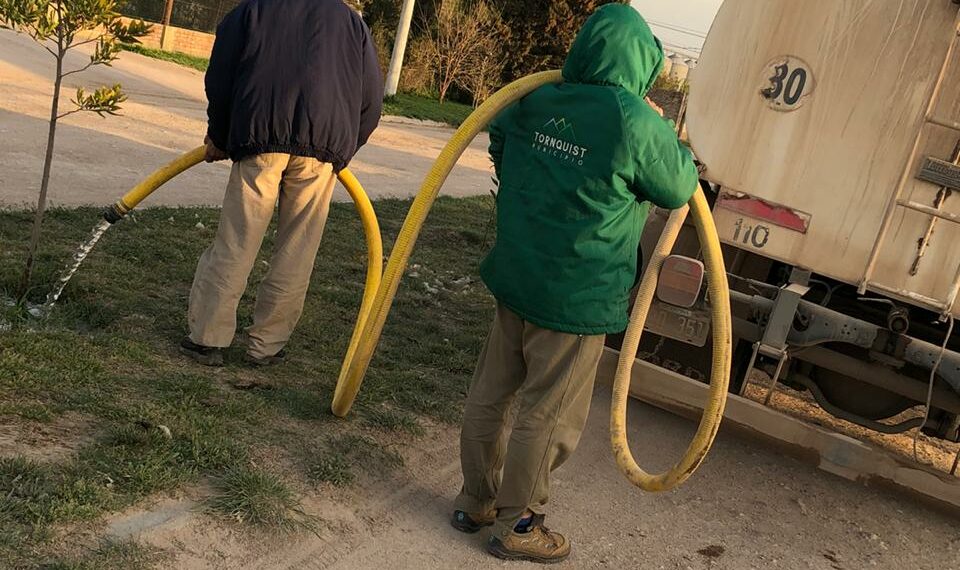Continúan las tareas de forestación en Tornquist