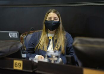 Es Ley el proyecto de beneficios impositivos de la Diputada Bevilacqua