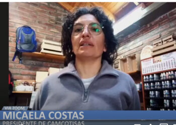 Micaela Costa: “La realidad de nuestros comercios es desahuciante”