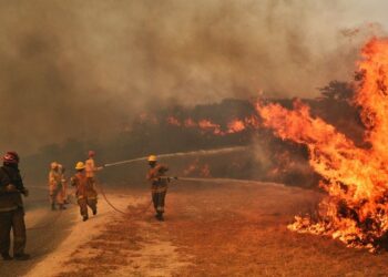 Bomberos Voluntarios de Sierra de la Ventana, Tornquist y Monte Hermoso viajaron a Cordoba por los incendios (nota, fotos y videos)