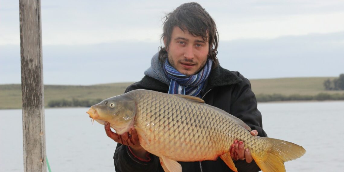 Pescan una Carpa de más de 7 kilos en el Club de Pesca Tornquist