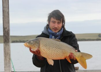 Pescan una Carpa de más de 7 kilos en el Club de Pesca Tornquist