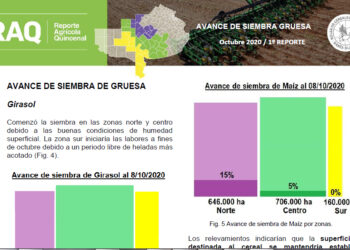 PRODUCCION: REPORTE DE SIEMBRA GRUESA
