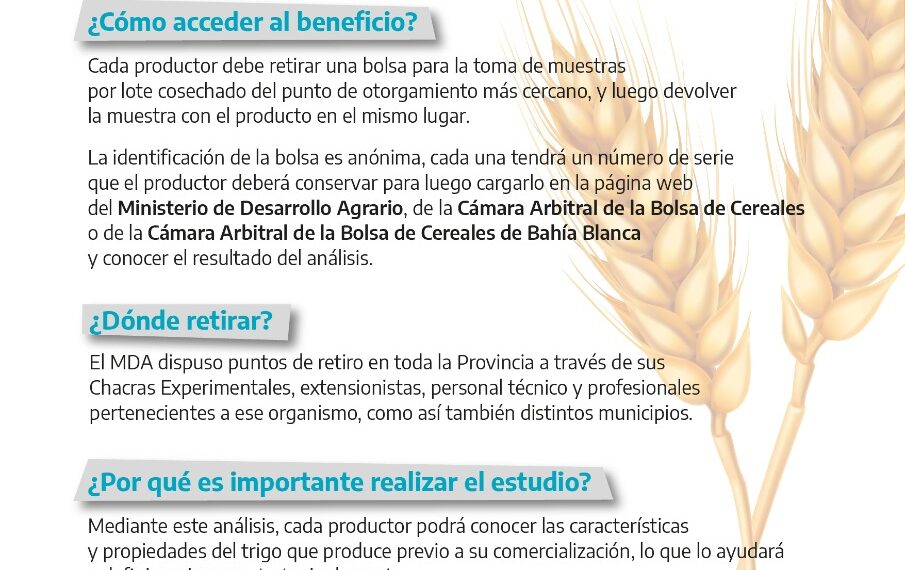 Productores podrán acceder a análisis gratuitos de calidad de trigo