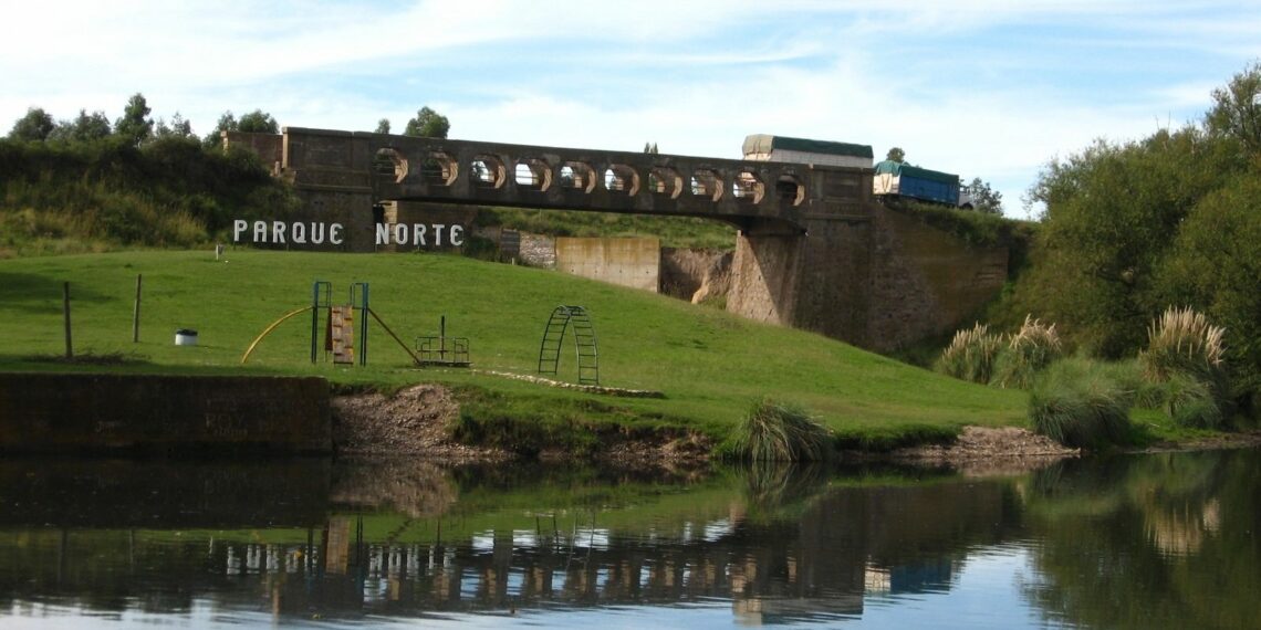 Una bahiense casi fue arrollada por un tren en el puente de Balneario Parque Norte