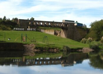 Una bahiense casi fue arrollada por un tren en el puente de Balneario Parque Norte