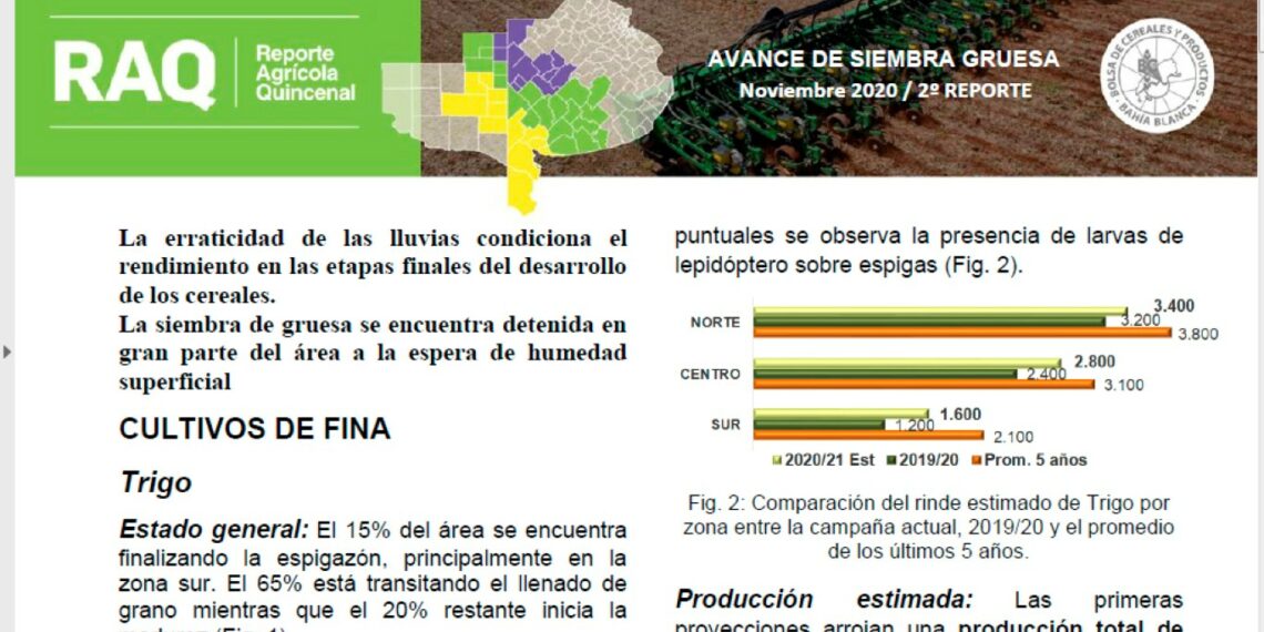 REPORTE AVANCE SIEMBRA GRUESA