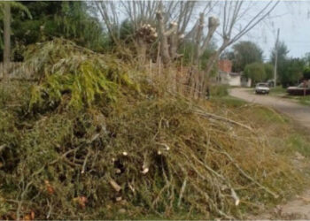 Retiro de residuos voluminosos: El Municipio retomará el cobro de la Tasa por Servicios Especiales de Limpieza e Higiene