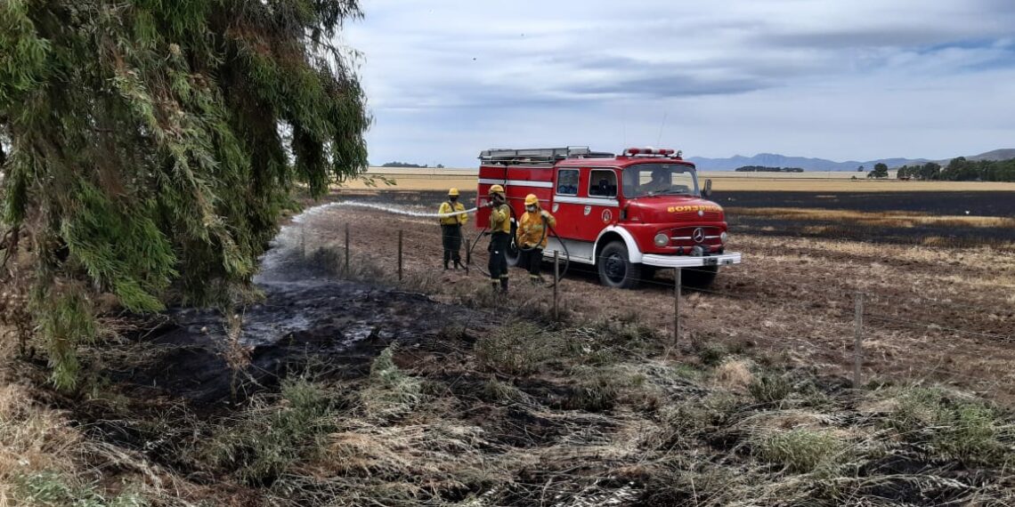 Incendio de pastos en un establecimiento rural de la zona de Tres Picos (Fotos)