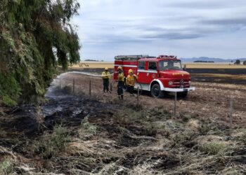 Incendio de pastos en un establecimiento rural de la zona de Tres Picos (Fotos)