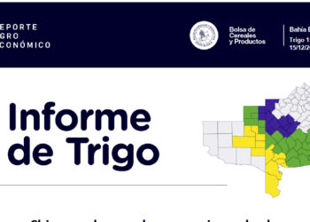 Producción: Informe del Trigo de la Bolsa de Cereales