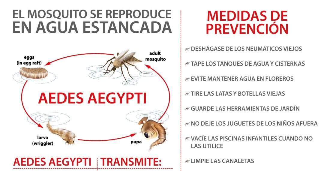 Solicitan mantener cloradas las piscinas domiciliarias