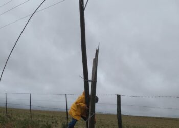 El temporal generó inconvenientes en el servicio eléctrico de Villa Ventana y la zona rural