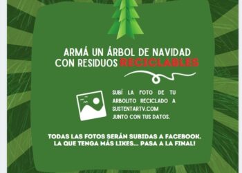 CONCURSO “FIESTAS SUSTENTABLES 2020”