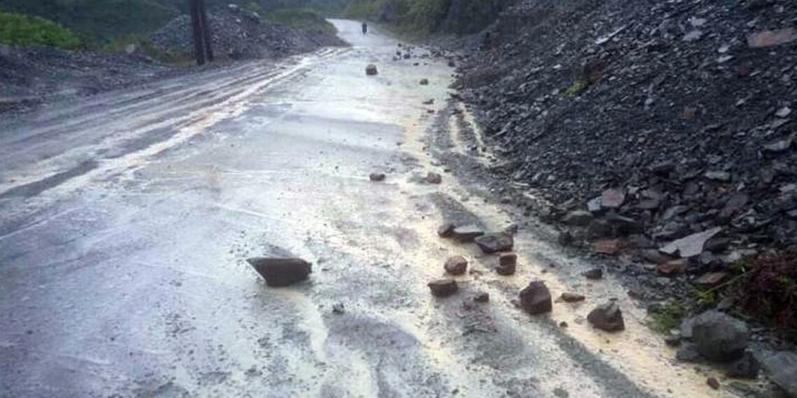 Circular con precaución en la Ruta 33 entre Bahía y Tornquist