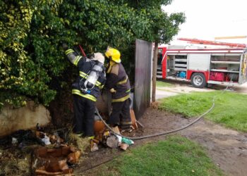 Ventura Picado e Inmigrantes: Incendio en el patio de una vivienda