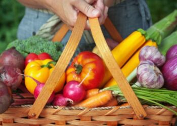 La Feria Municipal Distrital llega a Sierra de la Ventana