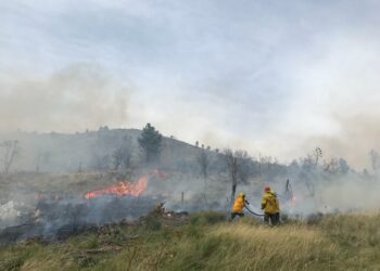 Bomberos de Tornquist y Villa Ventana combatieron un incendio en el sector del Abra (imágenes, fotos y nota de CELTTV. Noticias)