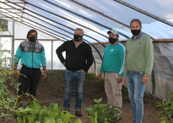 Continúa a buen ritmo la producción en la Huerta Municipal (notas y fotos de CELTTV Noticias)