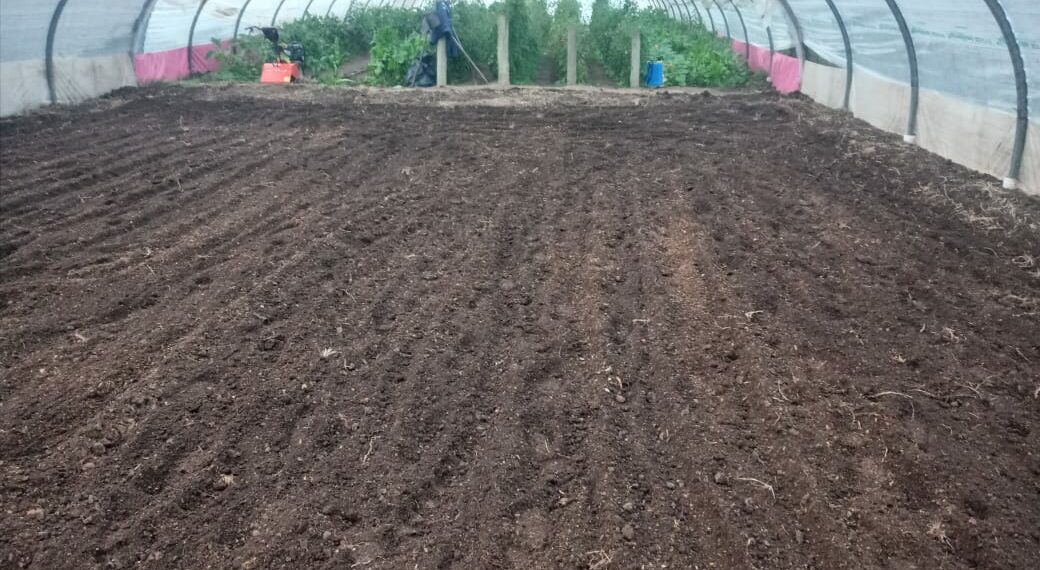 La Huerta Municipal amplía su producción con un nuevo invernadero