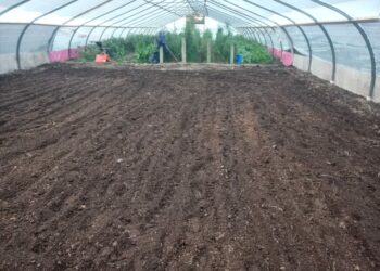 La Huerta Municipal amplía su producción con un nuevo invernadero