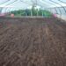 La Huerta Municipal amplía su producción con un nuevo invernadero