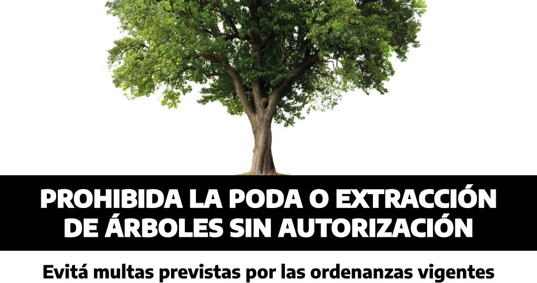 La intervención del arbolado público debe ser autorizada por el municipio