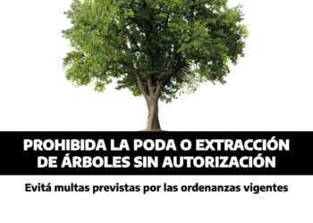 La intervención del arbolado público debe ser autorizada por el municipio